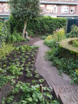 De Kleine Hovenier kleine tuin onderhoud tuinman Voorburg Leidschendam Rijswijk Wassenaar Luuk Vlek dekleinehovenier