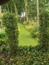 De Kleine Hovenier kleine tuin onderhoud tuinman Voorburg Leidschendam Rijswijk Wassenaar Luuk Vlek dekleinehovenierVoorburg-Leidschendam-tuin-onderhoud.jpg