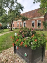 Plantenbak De Kleine Hovenier Voorburg Leidschendam tuin onderhoud